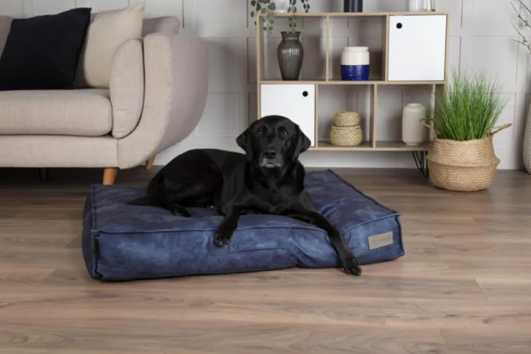 SCRUFFS Coussin pour chien bleu Kensington – Taille M