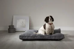 SCRUFFS Coussin pour chien gris foncé Manhattan – Taille L
