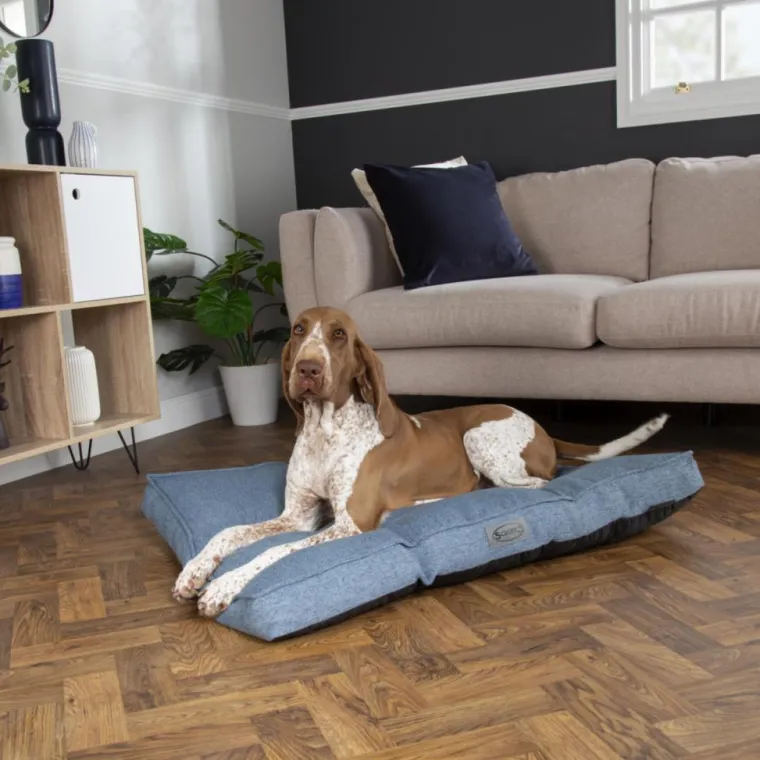 SCRUFFS Coussin pour chien Manhattan bleu - Taille L