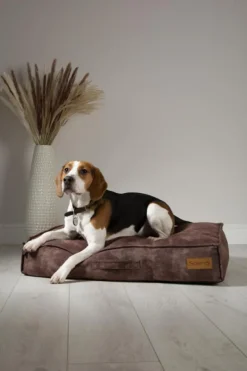 SCRUFFS Coussin pour chien marron Kensington – Taille L