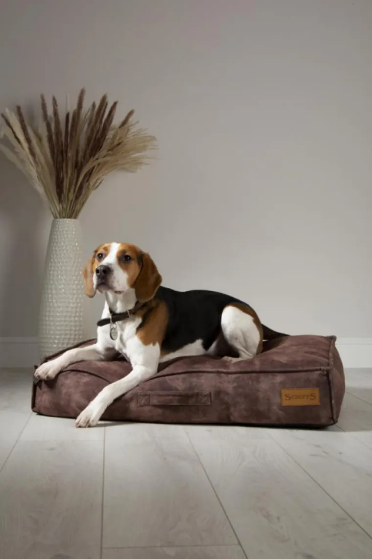 SCRUFFS Coussin pour chien marron Kensington – Taille L