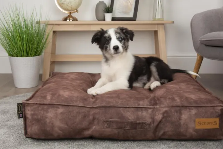SCRUFFS Coussin pour chien marron Kensington – Taille M