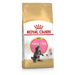 ROYAL CANIN Croquette pour chaton et chatte adulte en gestation Maine Coon - 2 kg