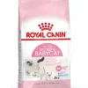 ROYAL CANIN Croquette pour chaton - 2 kg