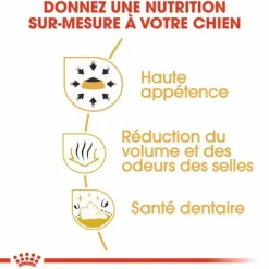 ROYAL CANIN Croquette pour chien adulte Chihuahua - 1,5 kg