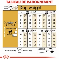 ROYAL CANIN Croquette pour chien adulte Chihuahua - 1,5 kg
