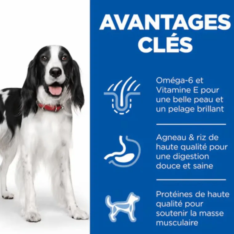 HILL'S Croquette pour chien adulte à l’agneau et au riz - 12 kg