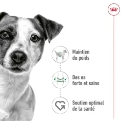 ROYAL CANIN Croquette pour chien adulte de petite taille - 4 kg