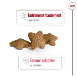 ROYAL CANIN Croquette pour chien adulte de petite taille - 4 kg