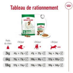 ROYAL CANIN Croquette pour chien adulte de petite taille - 4 kg