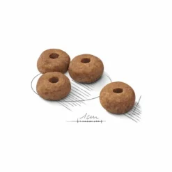 ROYAL CANIN Croquette pour chien adulte stérilisé de taille moyenne - 3 kg