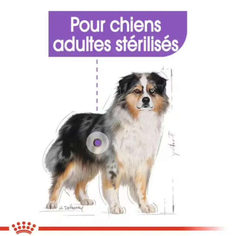 ROYAL CANIN Croquette pour chien adulte stérilisé de taille moyenne - 3 kg