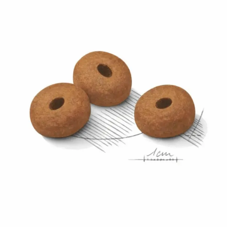 ROYAL CANIN Croquette pour chien adulte de grande taille en surpoids - 12 kg