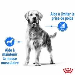 ROYAL CANIN Croquette pour chien adulte de grande taille en surpoids - 12 kg