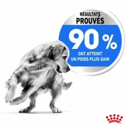 ROYAL CANIN Croquette pour chien adulte de grande taille en surpoids - 12 kg