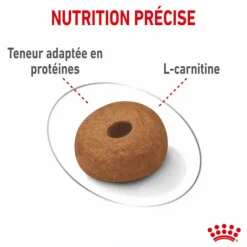 ROYAL CANIN Croquette pour chien adulte de grande taille en surpoids - 12 kg