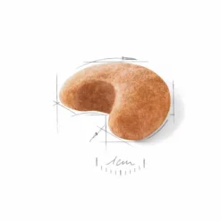 ROYAL CANIN Croquette pour chien adulte Bouledogue Français - 3 kg