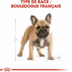 ROYAL CANIN Croquette pour chien adulte Bouledogue Français - 3 kg