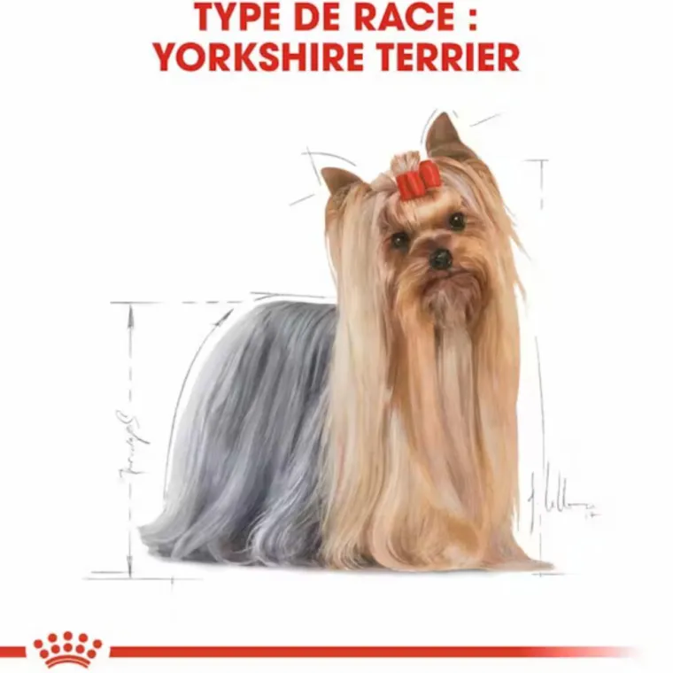 ROYAL CANIN Croquette pour chien adulte Yorkshire - 1,5 kg