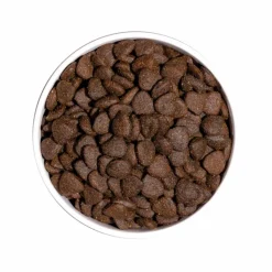 OWNAT Croquette pour chien adulte Grain Free à l'agneau - 14 kg