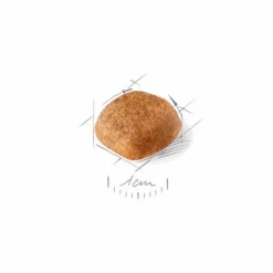 ROYAL CANIN Croquette pour chien adulte King Charles - 3 kg