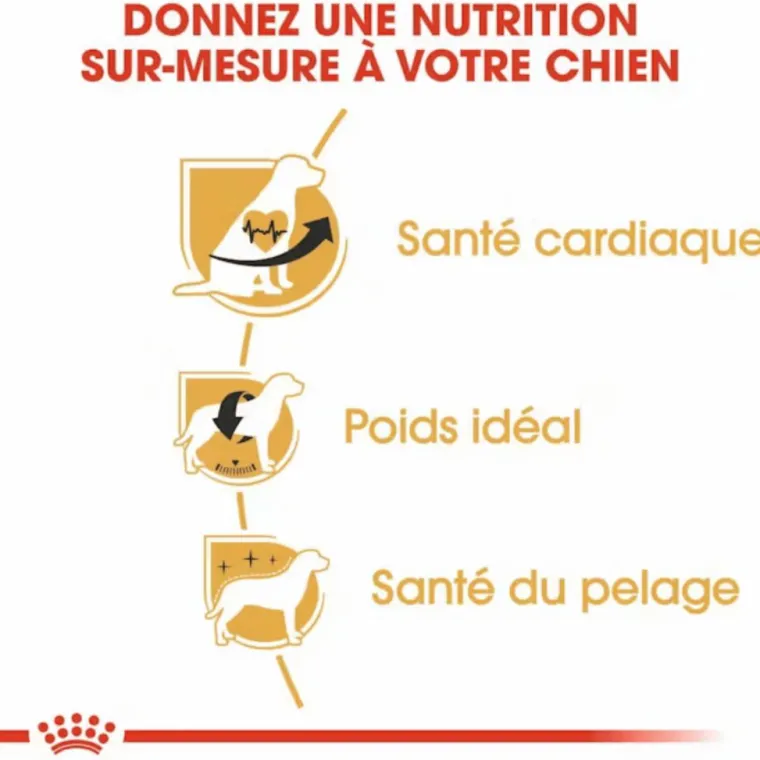 ROYAL CANIN Croquette pour chien adulte King Charles - 3 kg