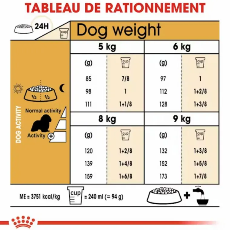 ROYAL CANIN Croquette pour chien adulte King Charles - 3 kg