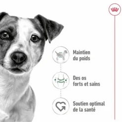 ROYAL CANIN Croquette pour chien adulte de petite taille - 2 kg