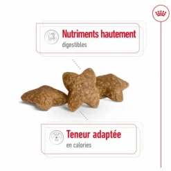 ROYAL CANIN Croquette pour chien adulte de petite taille - 2 kg