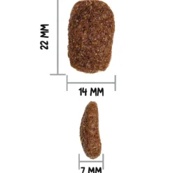 OWNAT Croquette pour chien adulte complet au poulet - 4 kg