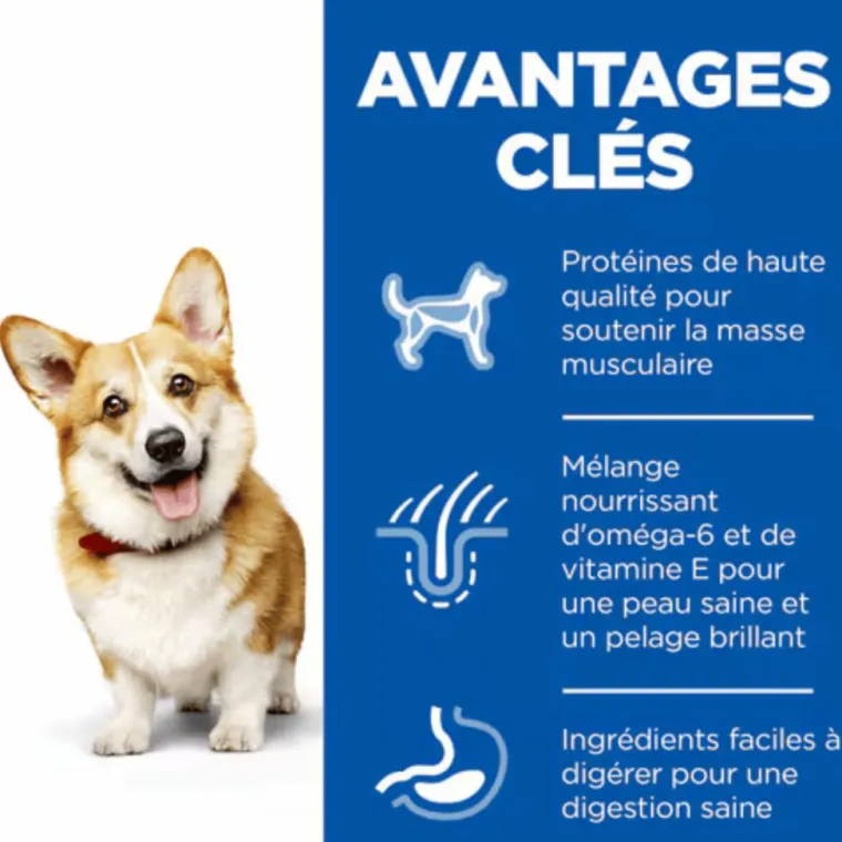 HILL'S Croquette pour chien adulte de petite taille au poulet - 3 kg