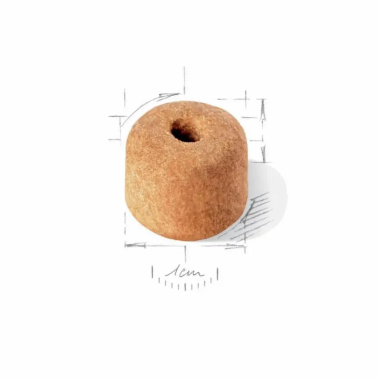ROYAL CANIN Croquette pour chien adulte stérilisé Labrador - 12 kg