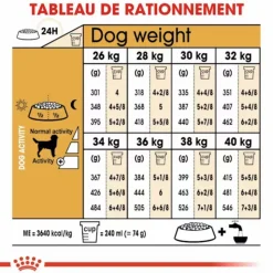 ROYAL CANIN Croquette pour chien adulte Labrador Retriever - 12 kg