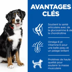 HILL'S Croquette pour chien adulte de grande taille au poulet - 18 kg