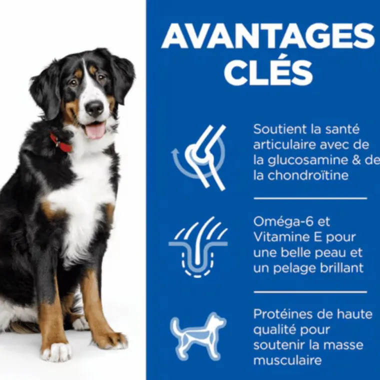 HILL'S Croquette pour chien adulte de grande taille au poulet - 18 kg