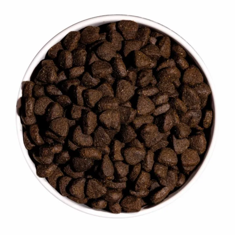 OWNAT Croquette pour chien adulte Grain Free au saumon et fruits de mer - 3 kg