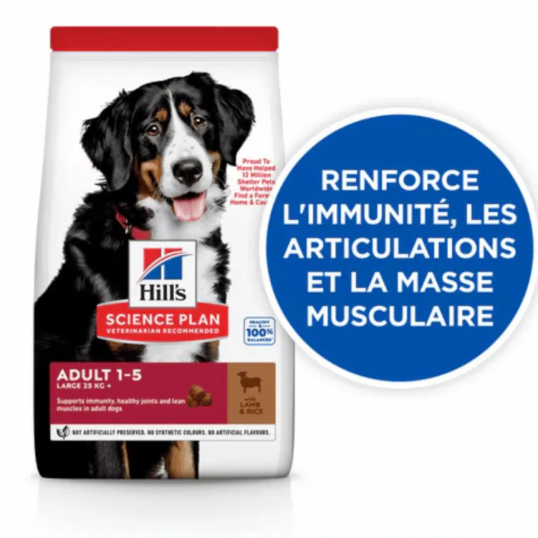HILL'S Croquette pour chien adulte grande race aux légumes et au riz - 12 kg