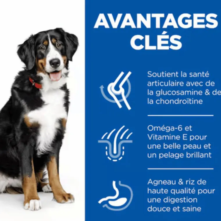HILL'S Croquette pour chien adulte grande race aux légumes et au riz - 12 kg