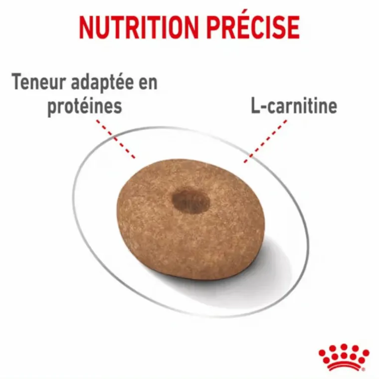 ROYAL CANIN Croquette pour chien adulte de petite taille light weight care - 3 kg