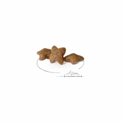 ROYAL CANIN Croquette pour chien adulte de petite taille - 8 kg
