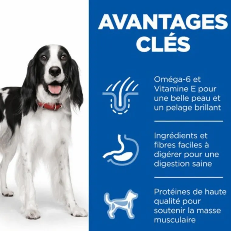 HILL'S Croquette pour chien adulte au poulet - 12 kg