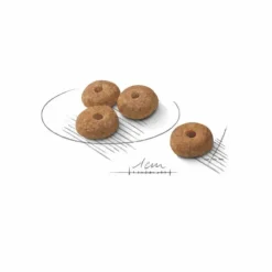 ROYAL CANIN Croquette pour chien adulte stérilisé de petite taille - 3 kg