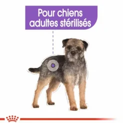 ROYAL CANIN Croquette pour chien adulte stérilisé de petite taille - 3 kg