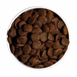 OWNAT Croquette pour chien adulte sensible Grain Free à l'agneau - 3 kg