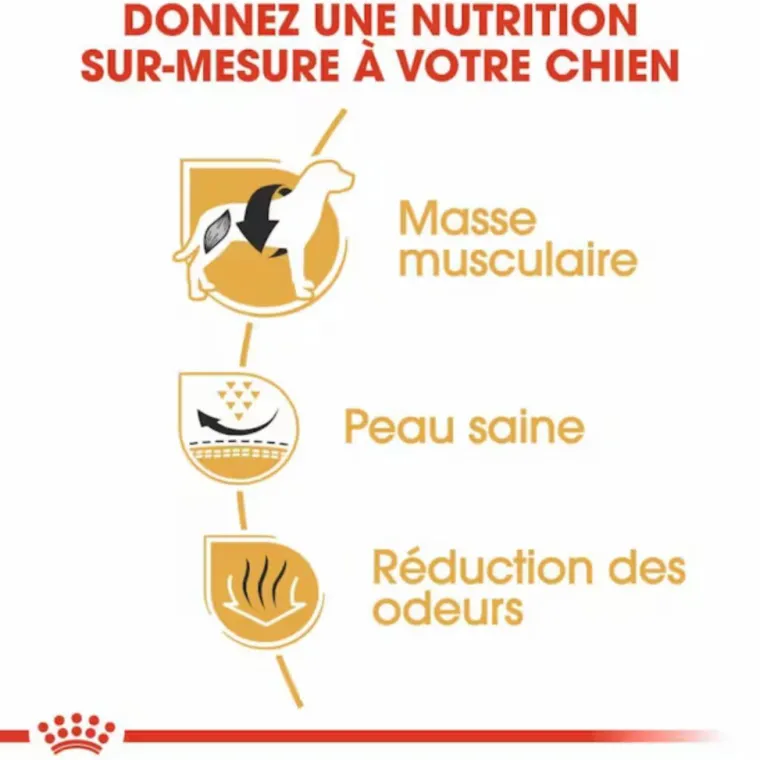 ROYAL CANIN Croquette pour chien Bulldog français - 9 kg