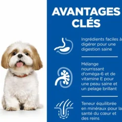 HILL'S Croquette pour chien mature de petite taille Royal Canin - 1,5 kg