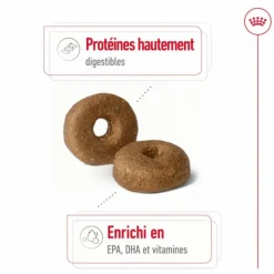 ROYAL CANIN Croquette pour chien mature de grande taille - 15 kg