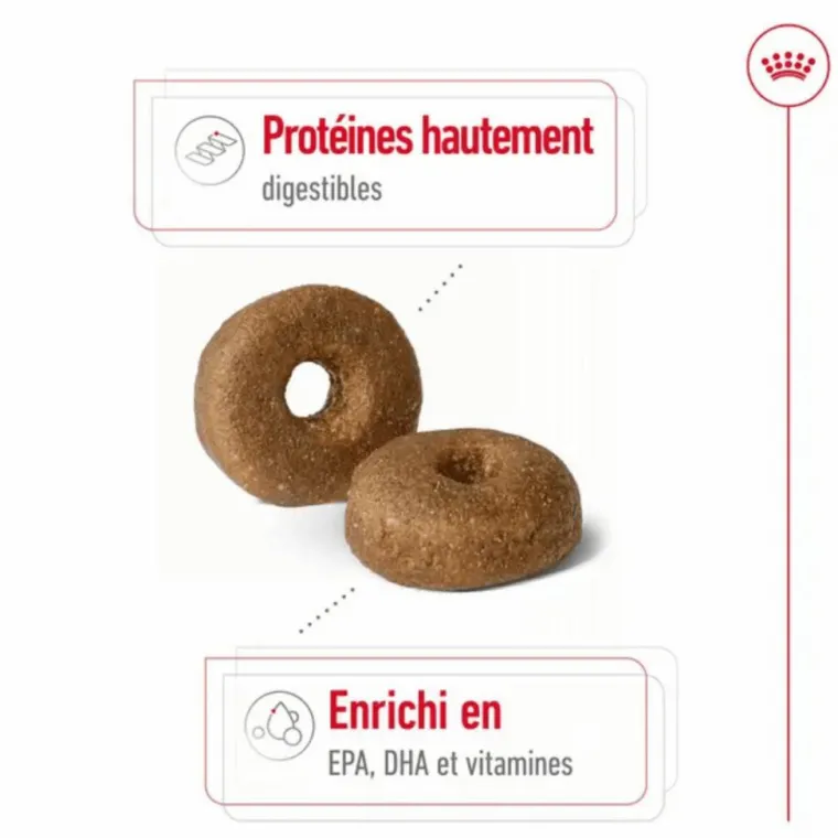 ROYAL CANIN Croquette pour chien mature de grande taille - 15 kg
