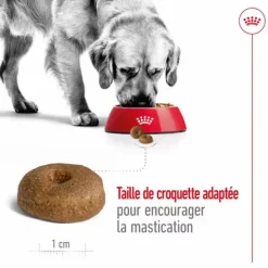 ROYAL CANIN Croquette pour chien mature de grande taille - 15 kg