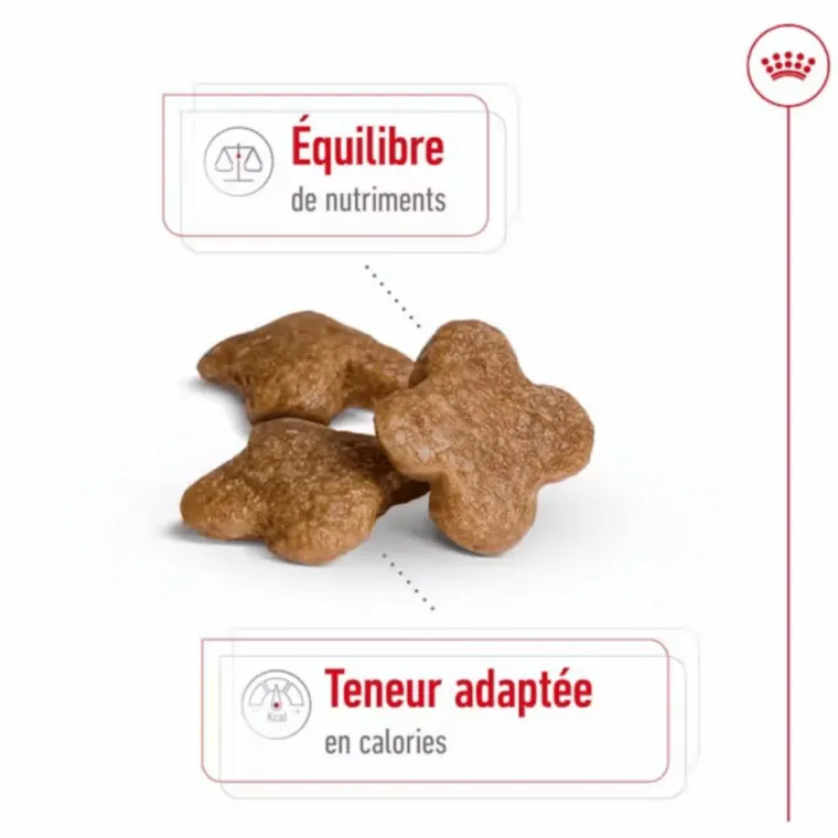 ROYAL CANIN Croquette pour chien mature de petite taille - 4 kg